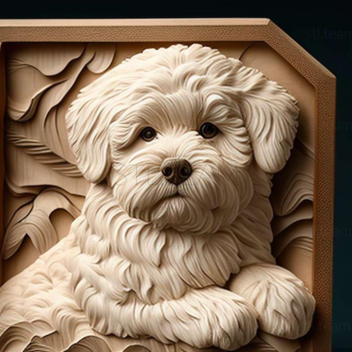 3D model Bichon frise dog (STL)